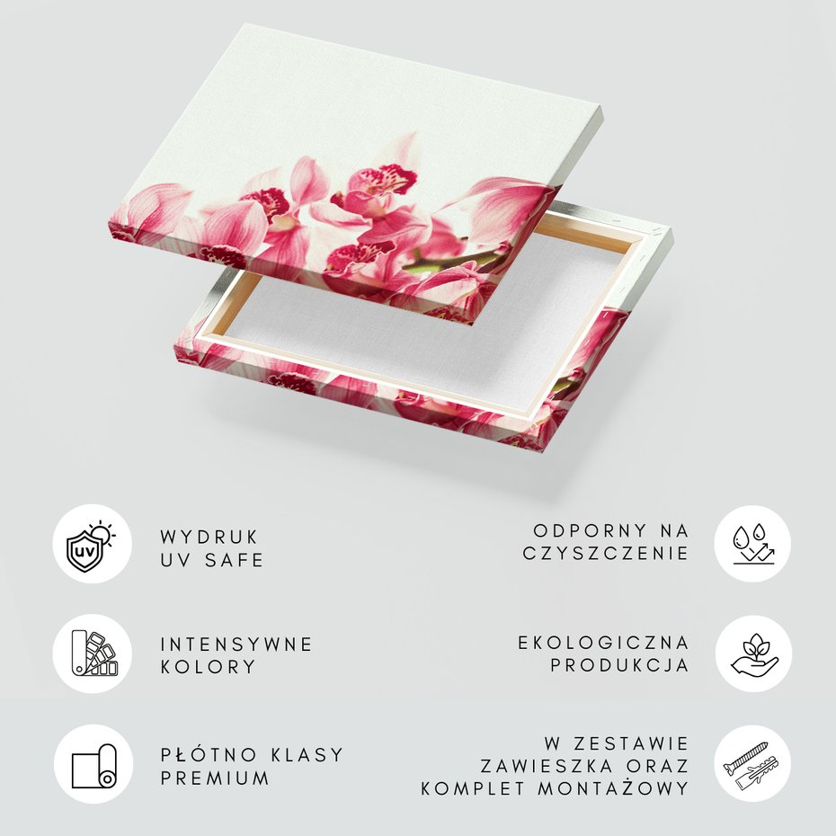 Obraz na płótnie - kwiaty, różowy, orchidee