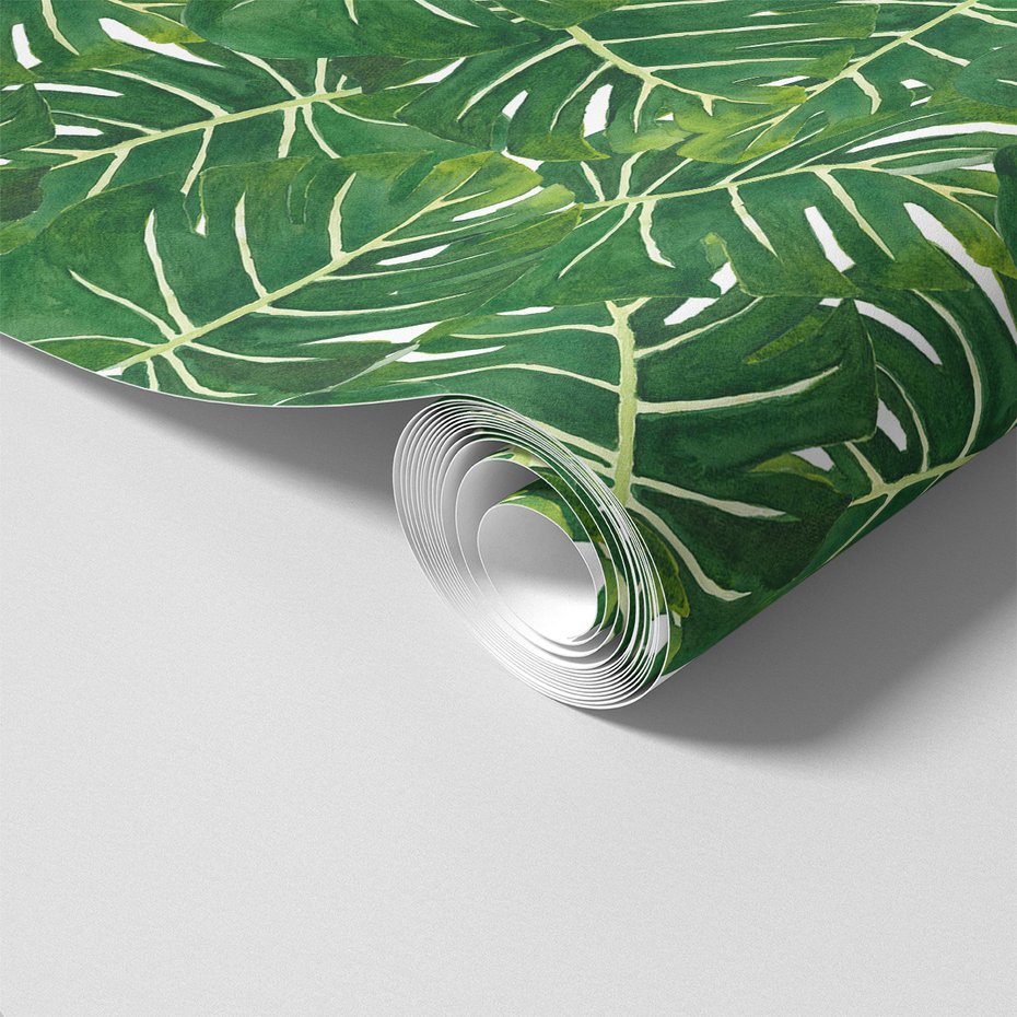 Tapeta - liście, monstera, natura