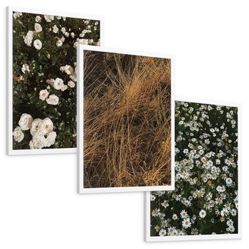 Zestaw obrazy w ramie, plakaty - kwiaty, rośliny, natura - rama biała