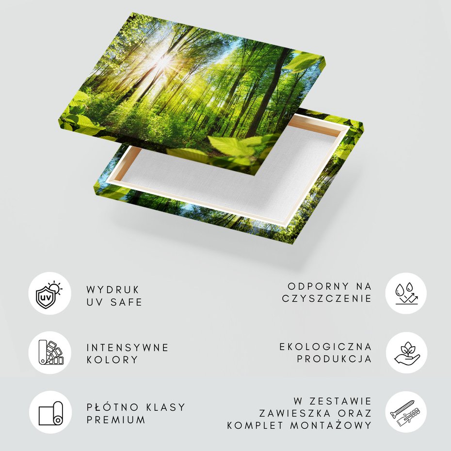 Obraz na płótnie - las, słońce, natura