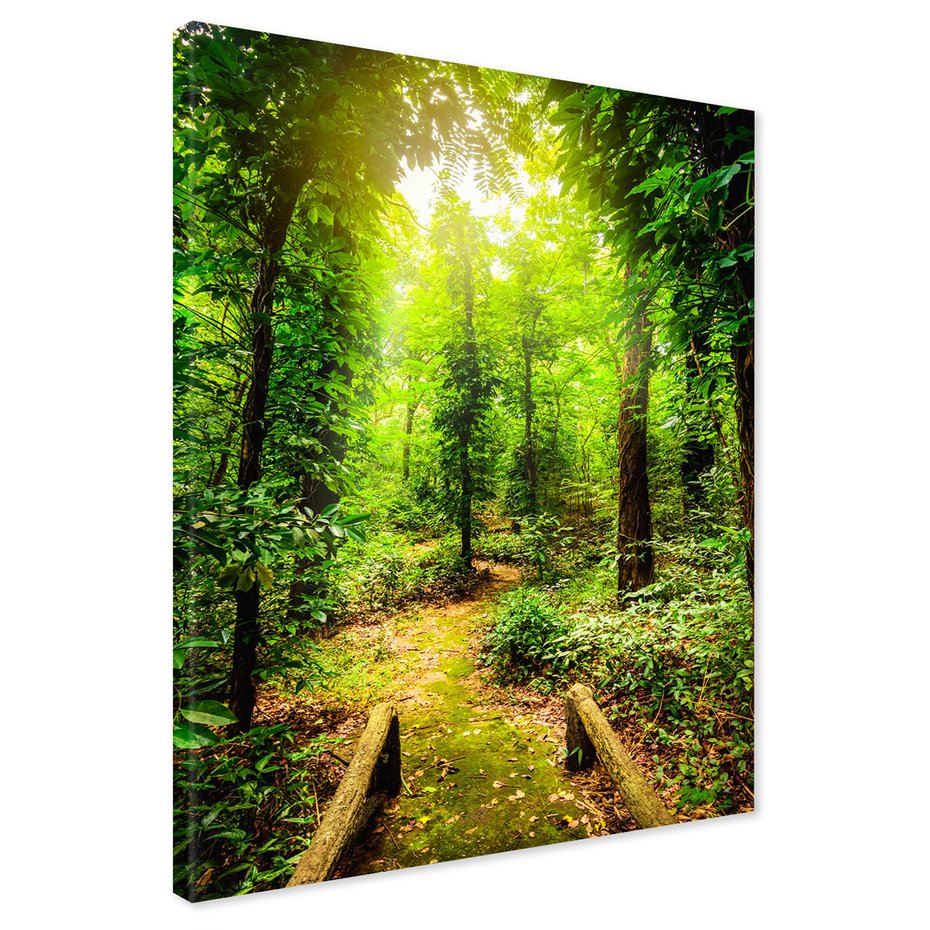 Obraz na płótnie - las, drzewa, ścieżka