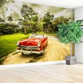 Fototapeta - samochód, czerwony, krajobraz