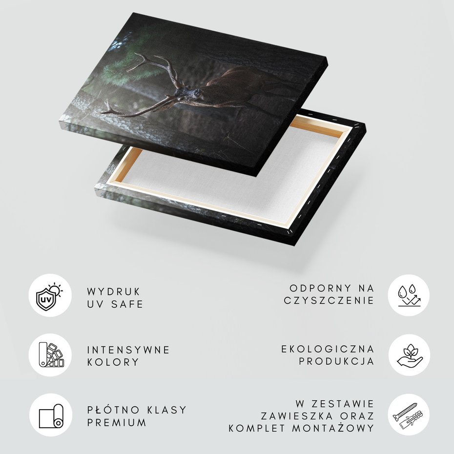 Obraz na płótnie - jeleń, las, zwierzę