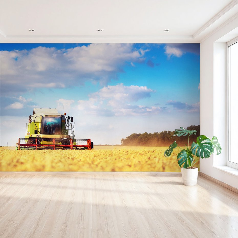 Fototapeta - kombajn, zboże, pole