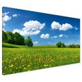 Obraz na płótnie - łąka, kwiaty, lato