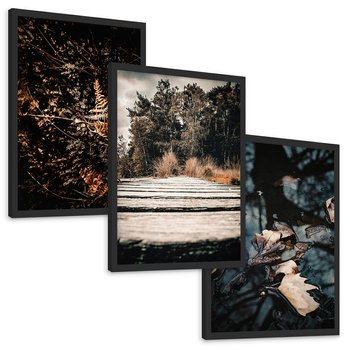 Zestaw obrazy w ramie, plakaty - natura, liście, drzewa - rama czarna