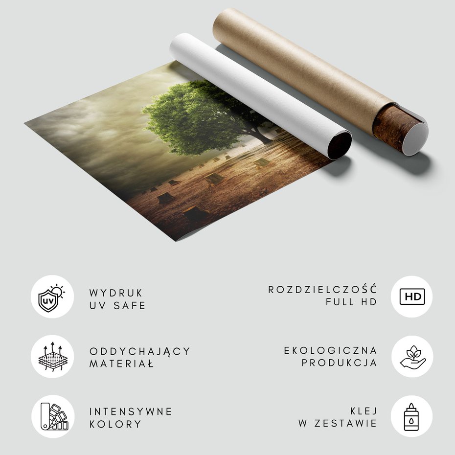 Fototapeta - drzewo, pniaki, natura