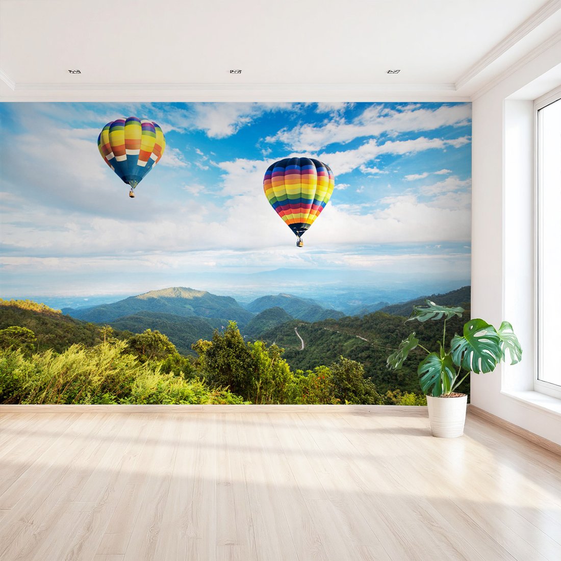 Fototapeta - balony, krajobraz, góry