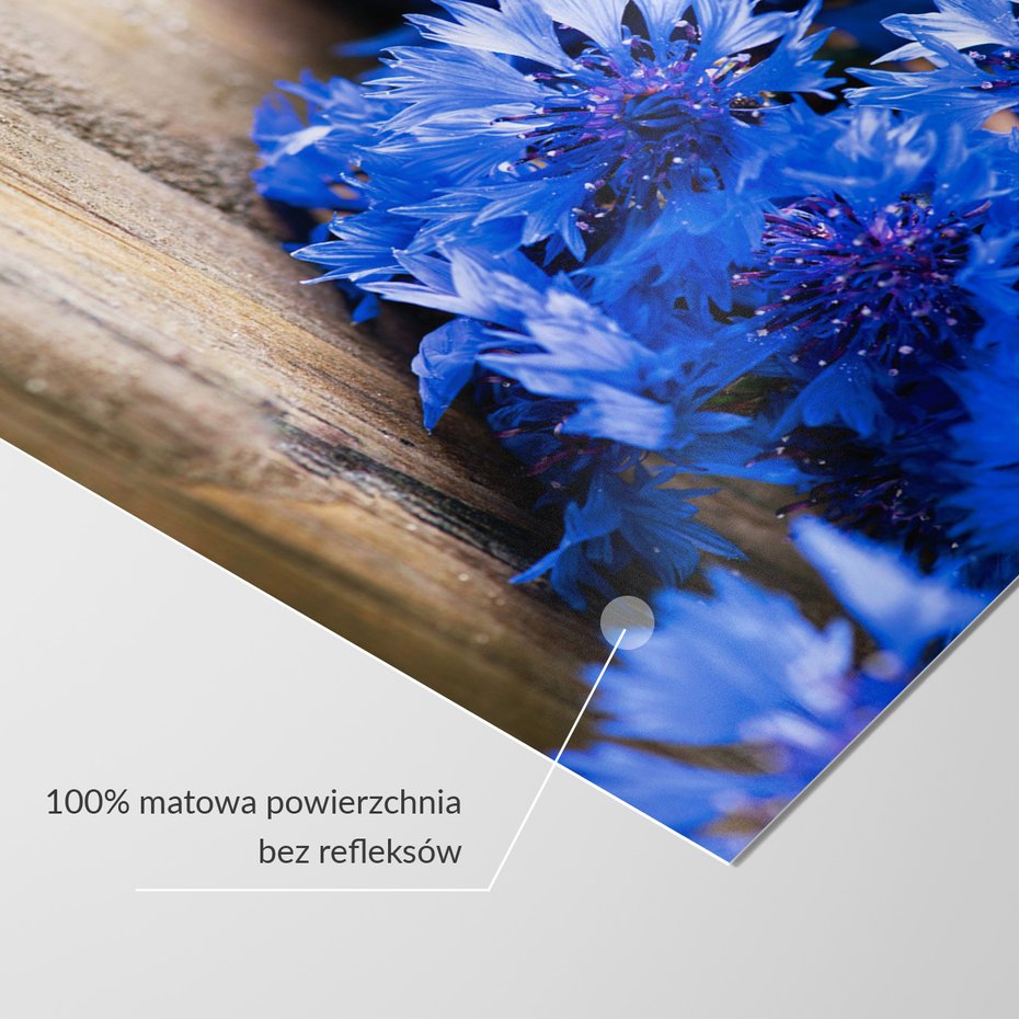 Fototapeta - kwiaty, drewno, niebieski