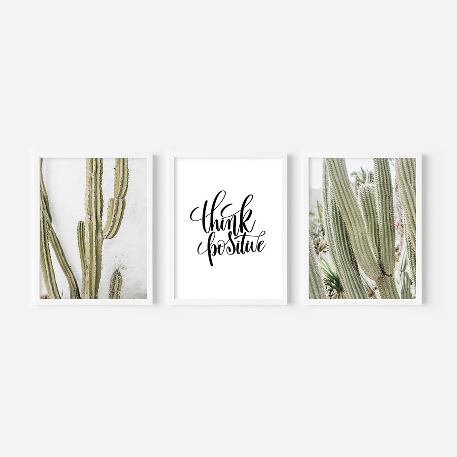 Zestaw obrazy w ramie, plakaty - kaktusy,rośliny,tekst - rama biała