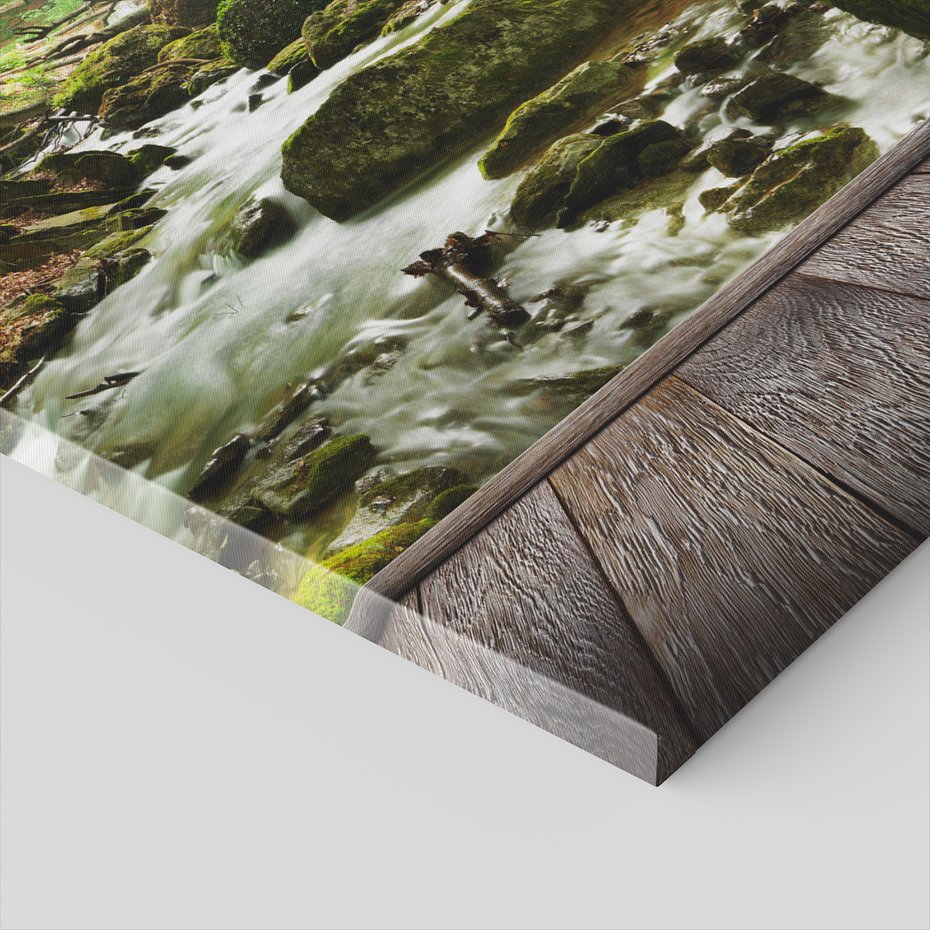 Obraz na płótnie - las, strumień, drzewa