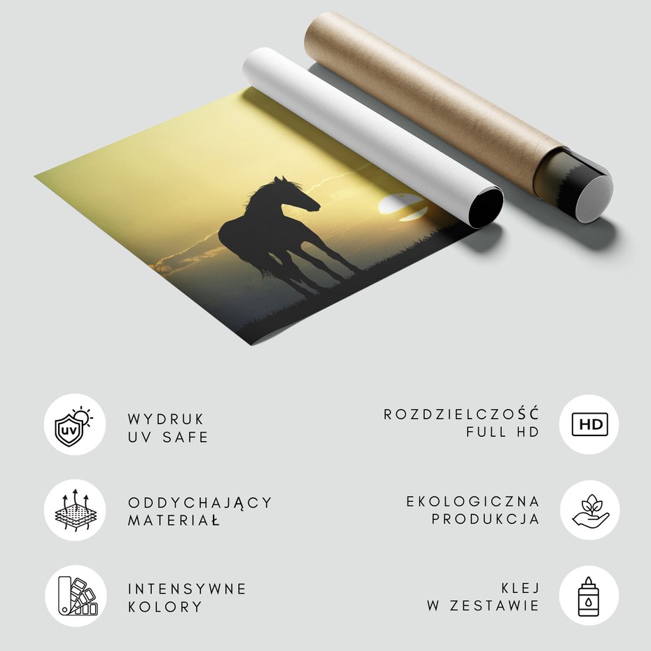 Fototapeta - koń, zachód słońca, ptaki