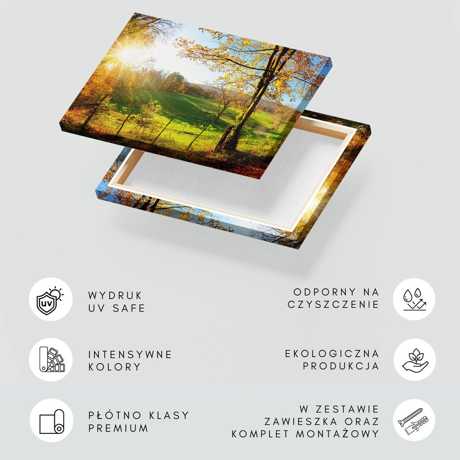 Obraz na płótnie - krajobraz, jesień, drzewa