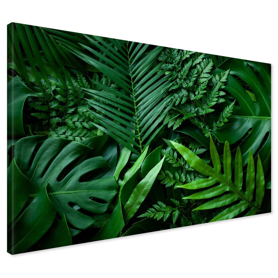 Obraz na płótnie - liście, rośliny, zielony
