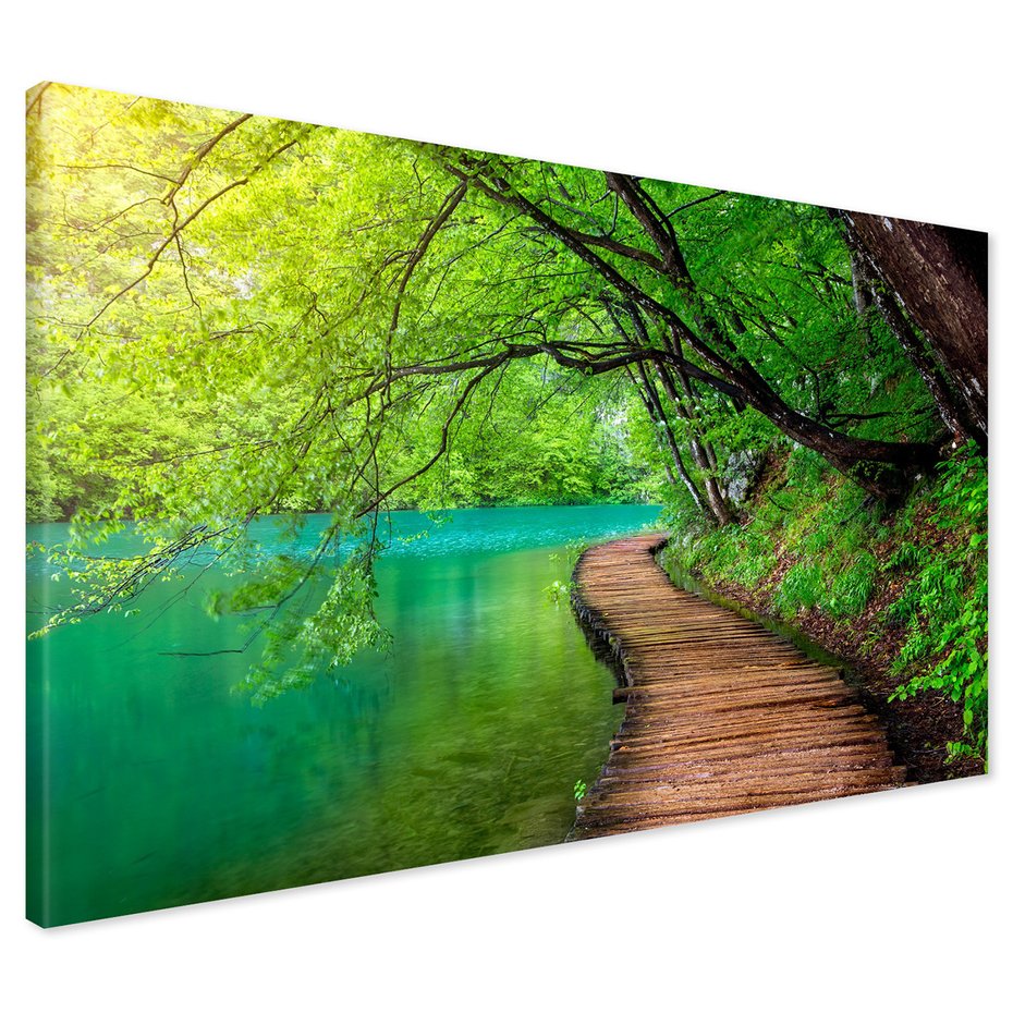 Obraz na płótnie - las, woda, natura