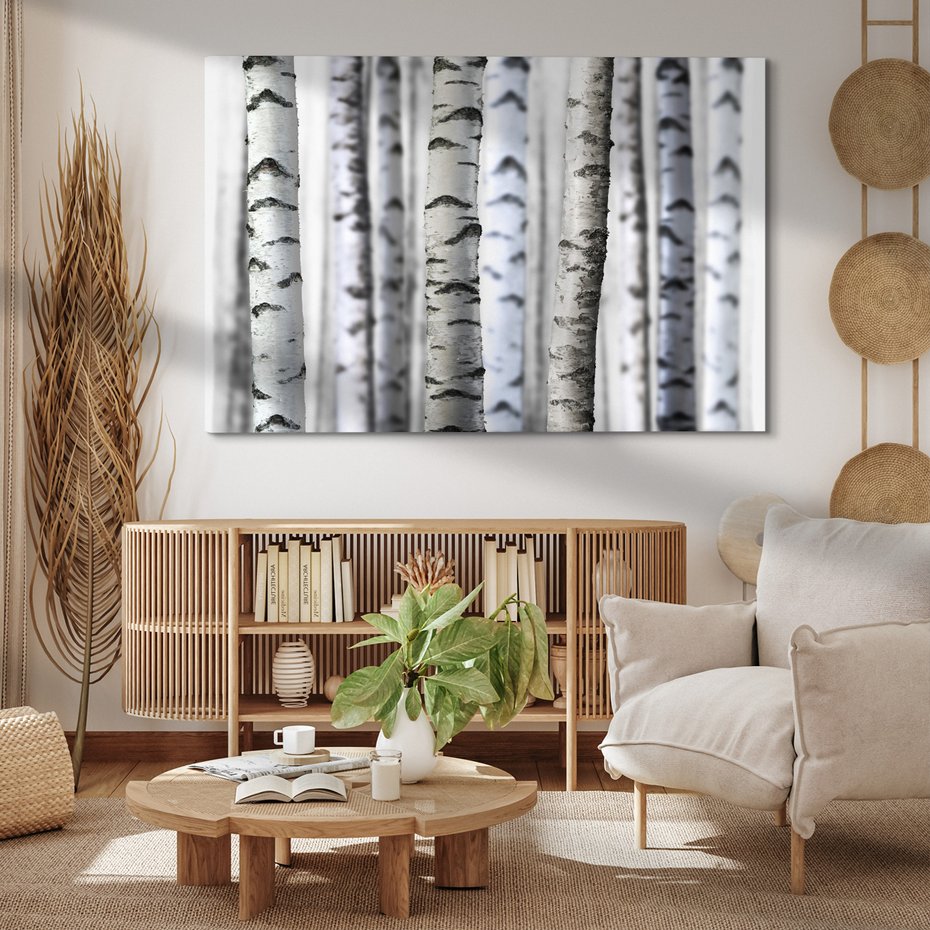 Obraz na płótnie - brzoza, drzewa, las