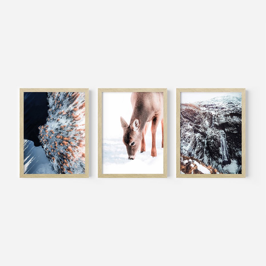 Zestaw obrazy w ramie, plakaty - zima, śnieg, natura - rama drewno