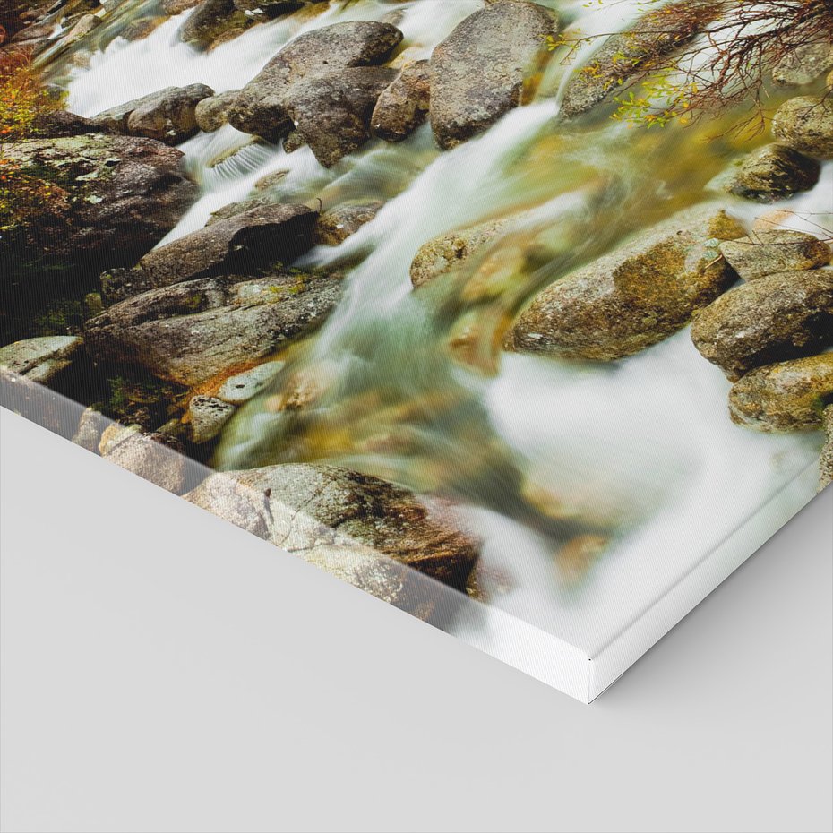 Obraz na płótnie - rzeka, las, kamienie