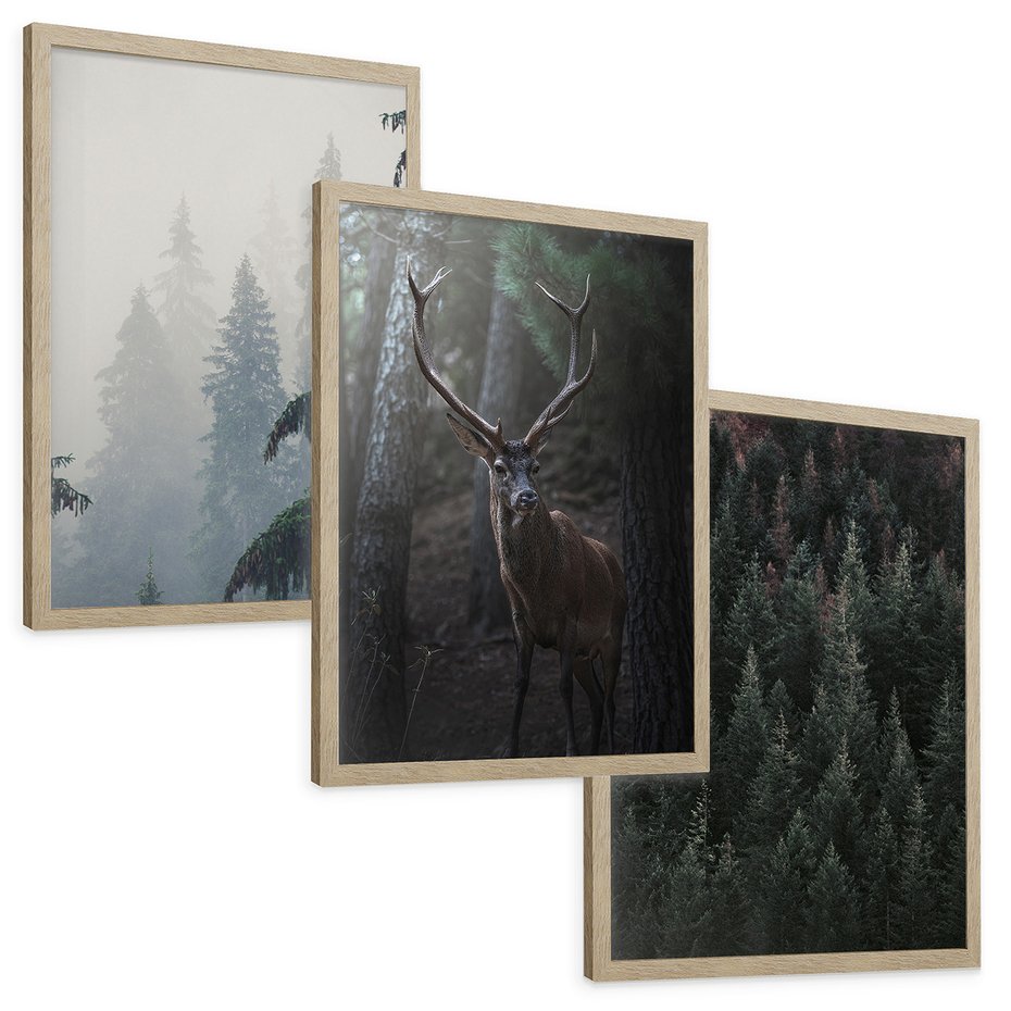 Zestaw obrazy w ramie, plakaty - las, drzewa, jeleń - rama drewno