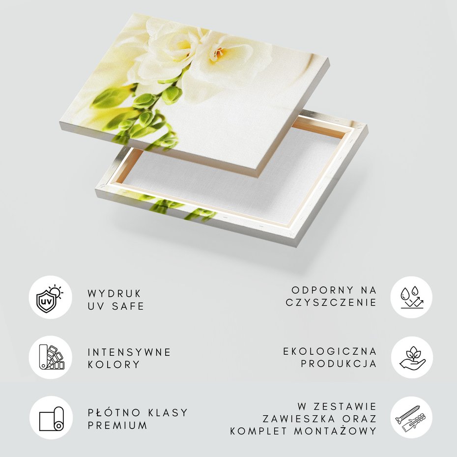 Obraz na płótnie - kwiaty, frezje, białe