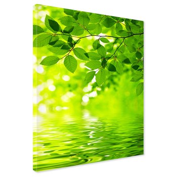 Obraz na płótnie - liście, woda, zieleń