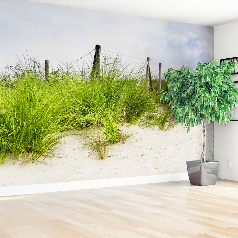 Fototapeta - wydma, trawa, plaża