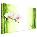 Obraz na płótnie - bambus, orchidee, kwiaty
