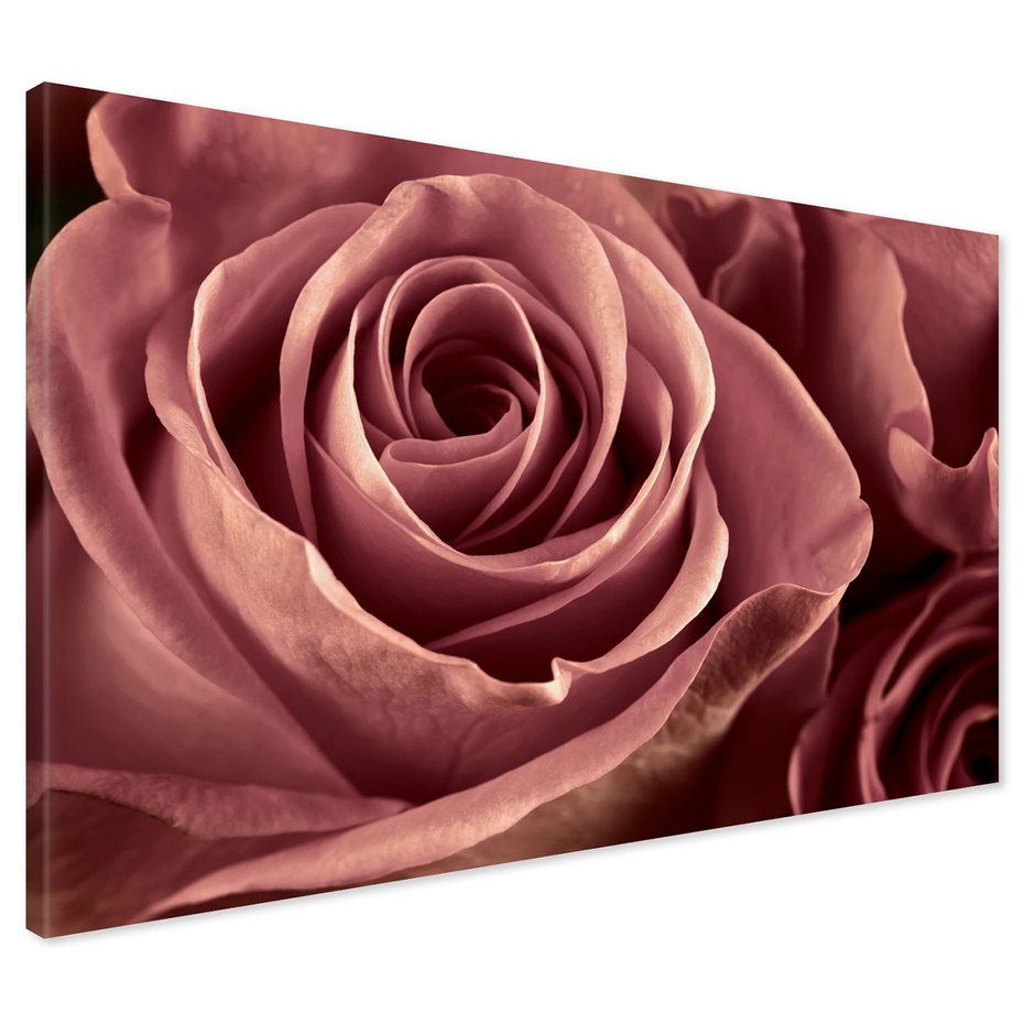 Obraz na płótnie - róża, kwiat, płatki