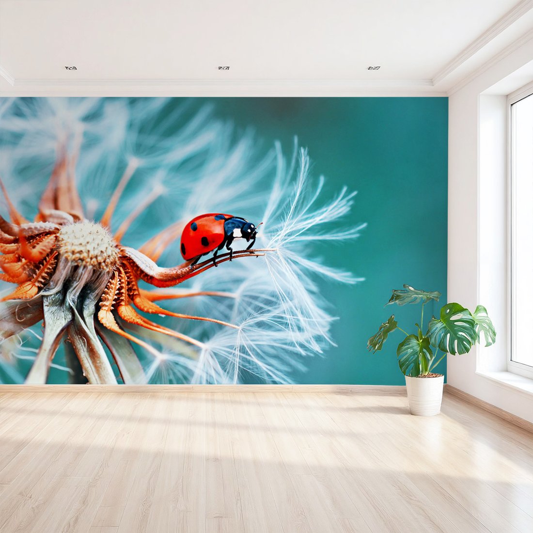 Fototapeta - biedronka, kwiat, natura