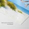 Fototapeta - plaża, mewy, morze