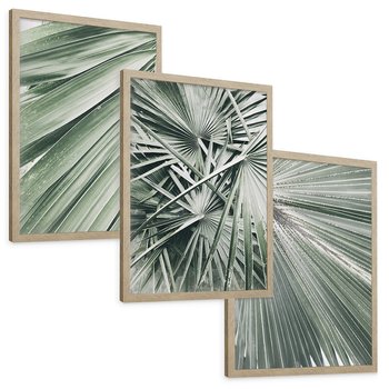 Zestaw obrazy w ramie, plakaty - liście palmowe, rośliny, natura - rama drewno