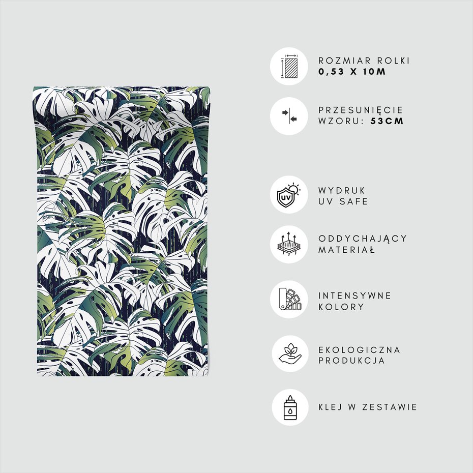 Tapeta - liście, monstera, natura