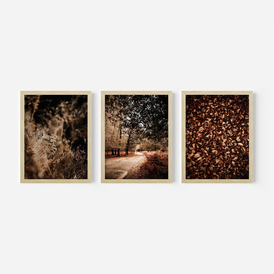 Zestaw obrazy w ramie, plakaty - jesień, liście, natura - rama drewno