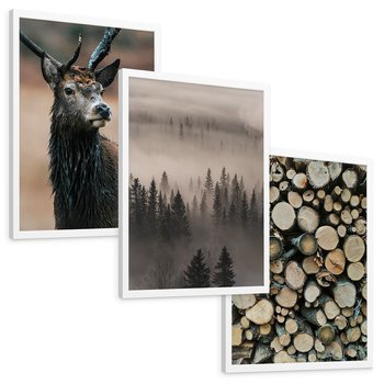 Zestaw obrazy w ramie, plakaty - las, drewno, natura - rama biała