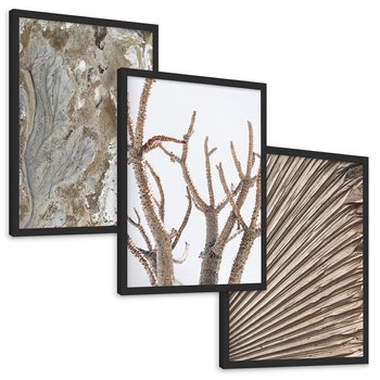 Zestaw obrazy w ramie, plakaty - abstrakcja, roślina, natura - rama czarna