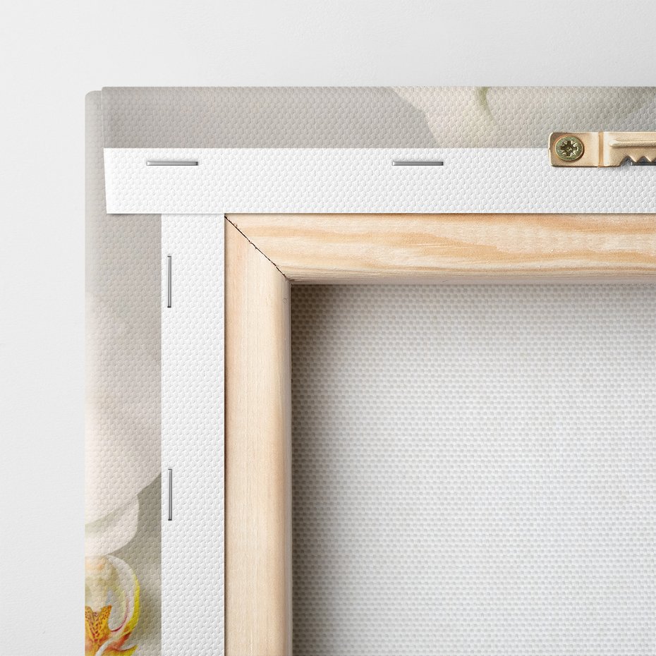 Obraz na płótnie - kwiaty, orchidee, białe,