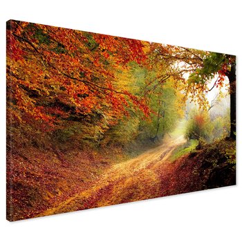 Obraz na płótnie - las, jesień, droga