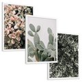 Zestaw obrazy w ramie, plakaty - rośliny, kaktus, liście - rama biała