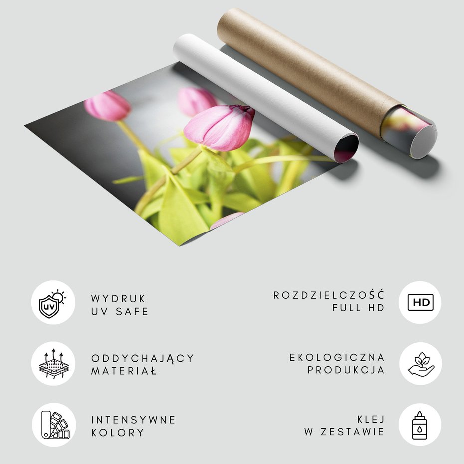 Fototapeta - tulipany, kwiaty, różowe