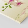 Obraz na płótnie - orchidee, kwiaty, elegancja