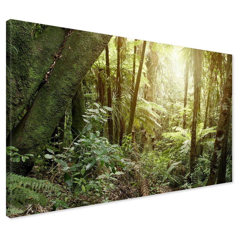 Obraz na płótnie - las, drzewa, roślinność