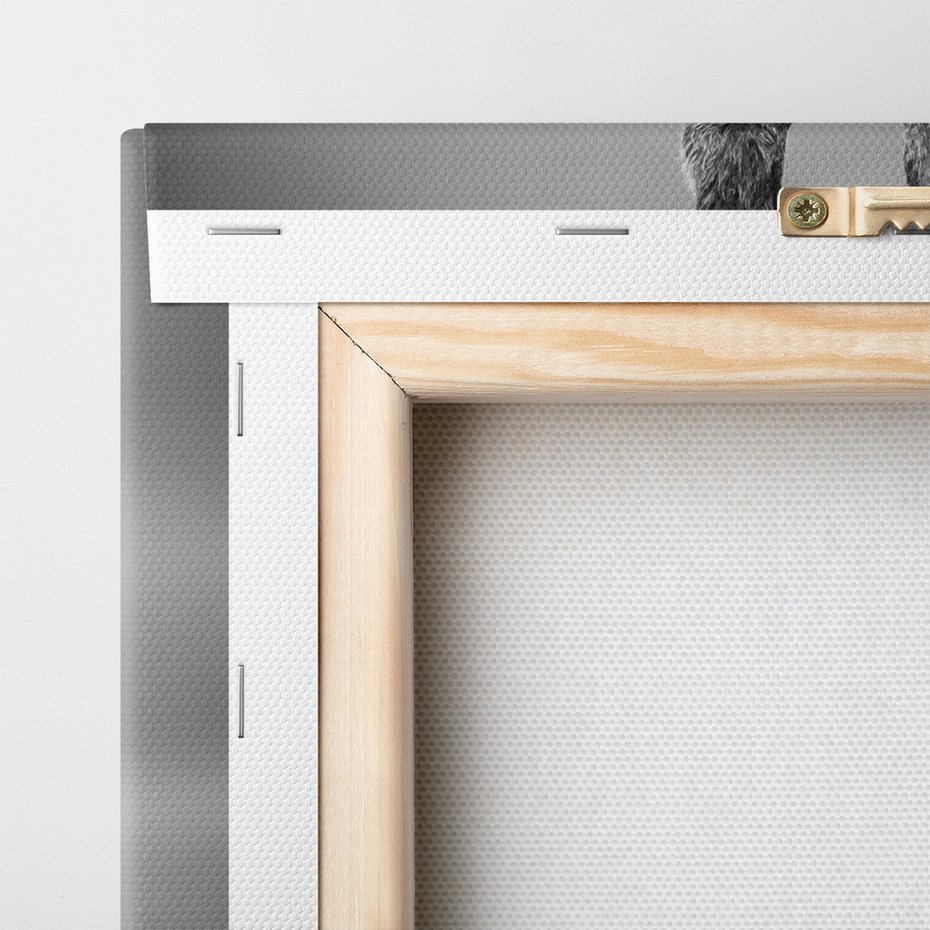 Obraz na płótnie - żyrafa, portret, Afryka