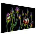 Obraz na płótnie - kwiaty, pąki, abstrakcja