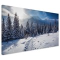 Obraz na płótnie - zima, śnieg, las