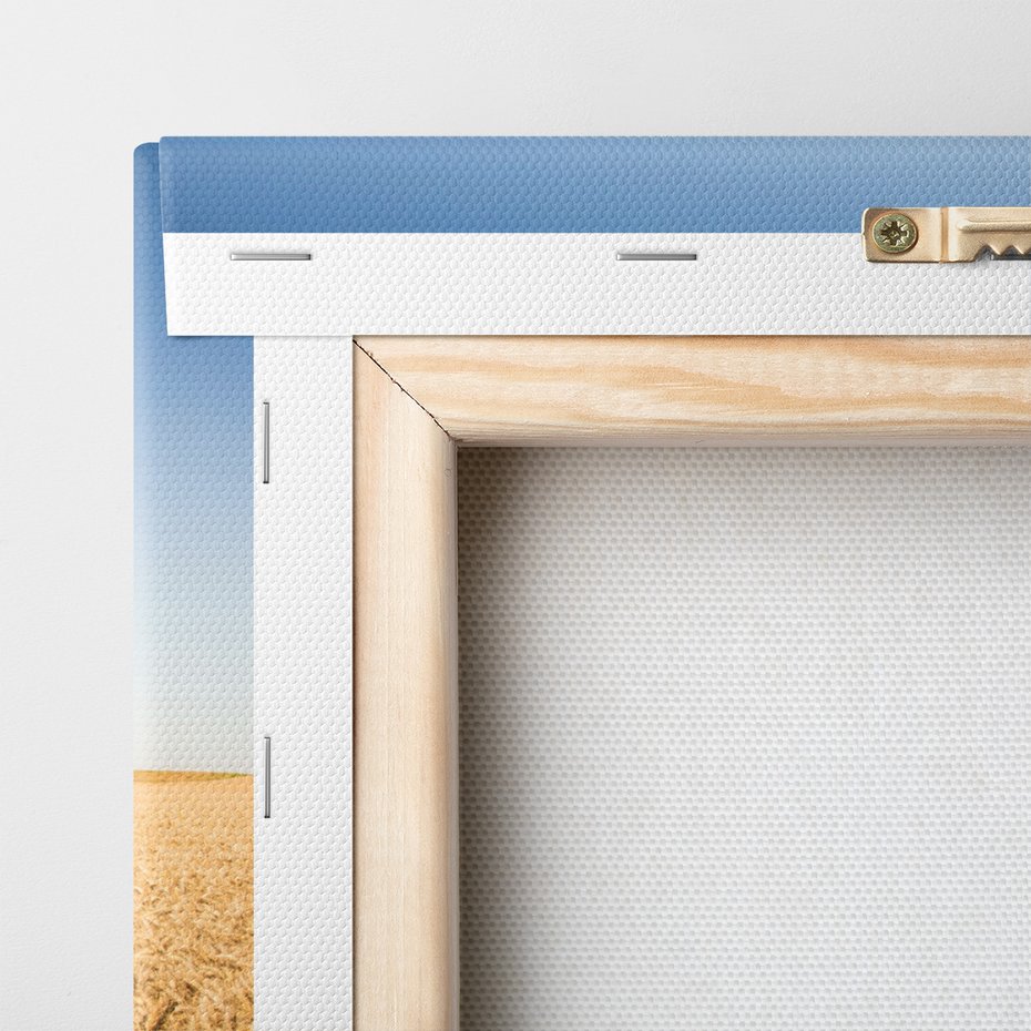 Obraz na płótnie - kombajn, rolnictwo, żniwa