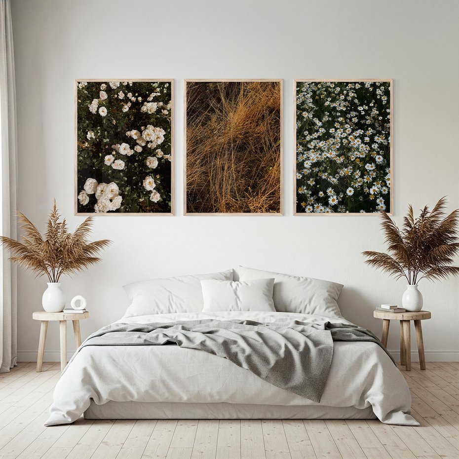 Zestaw obrazy w ramie, plakaty - kwiaty, rośliny, natura - rama drewno