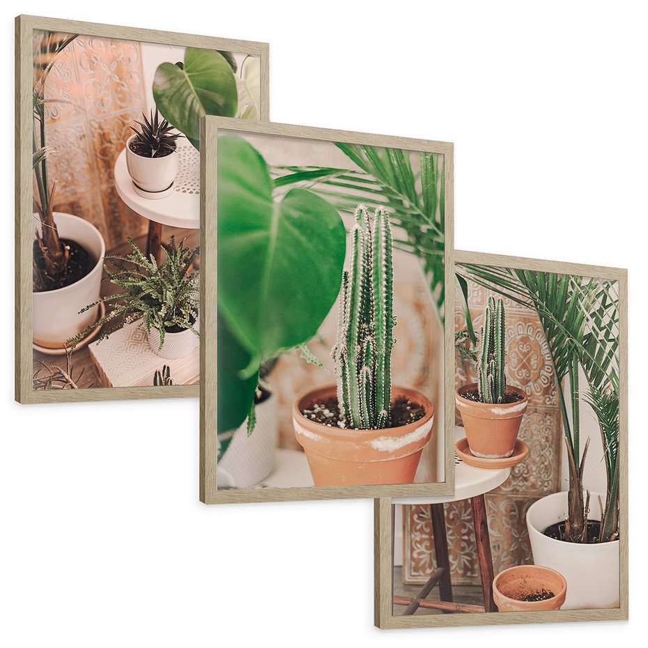 Zestaw obrazy w ramie, plakaty - rośliny, doniczki, wnętrze - rama drewno