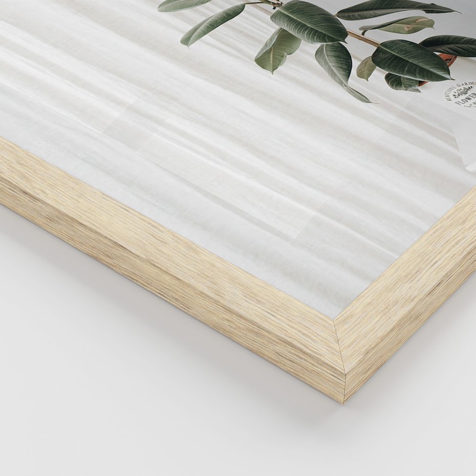 Zestaw obrazy w ramie, plakaty - rośliny, wnętrze, dekoracje - rama drewno