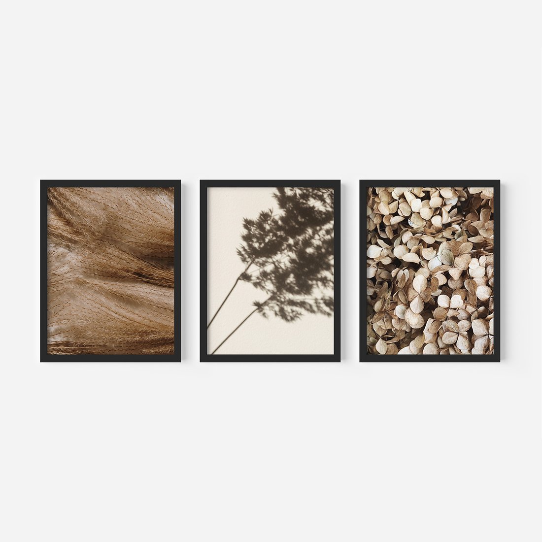 Zestaw obrazy w ramie, plakaty - rośliny, cienie, susz - rama czarna