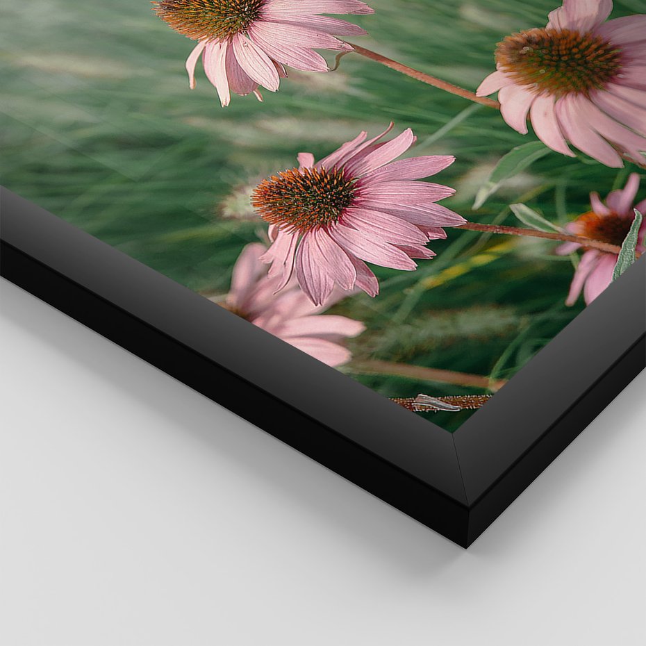 Zestaw obrazy w ramie, plakaty - kwiaty, trawa, rośliny - rama czarna